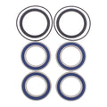 All Balls Racing Wheel Bearing Kit (25-1534)