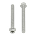 Bolt Euro Torx 8x30mm Flange Bolt (Packet of 10)