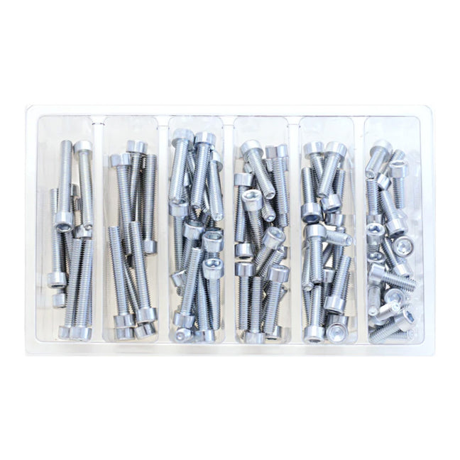 Bolt Workshop Service Kit: M6 Socket Head Allen