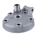 Cylinder Works Standard Bore Cylinder Head CH2005-K01
