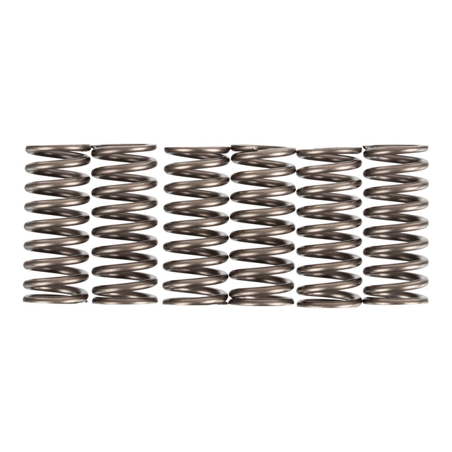 Premier Clutch Springs - Heavy Duty
