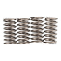 Premier Clutch Springs - Heavy Duty