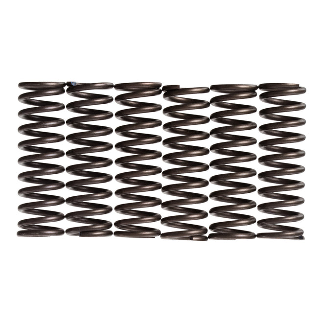 Premier Clutch Springs - Heavy Duty