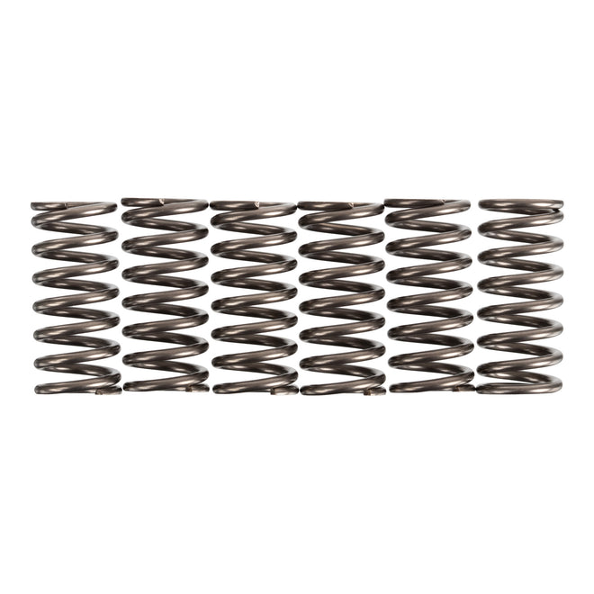 Premier Clutch Springs - Heavy Duty