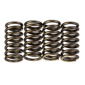 Premier Clutch Springs - Heavy Duty