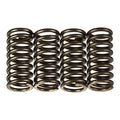Premier Clutch Springs - Heavy Duty