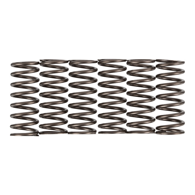 Premier Clutch Springs - Heavy Duty