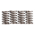 Premier Clutch Springs - Heavy Duty