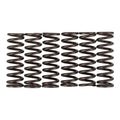 Premier Clutch Springs - Heavy Duty