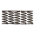 Premier Clutch Springs - Heavy Duty