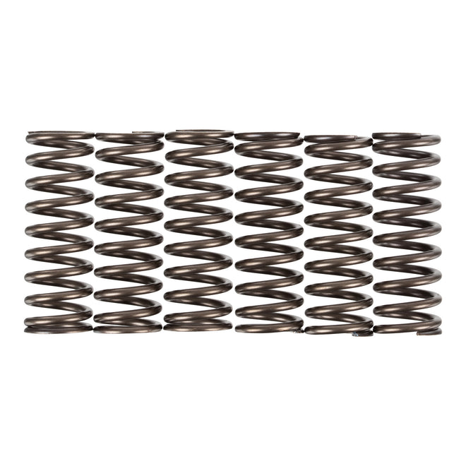 Premier Clutch Springs - Heavy Duty