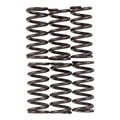 Premier Clutch Springs - Heavy Duty