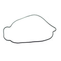 Outer Clutch Gasket Kit 817987