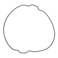Outer Clutch Gasket Kit 819054