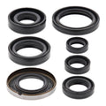 Oil Seal Kit 822161