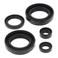Oil Seal Kit 822234