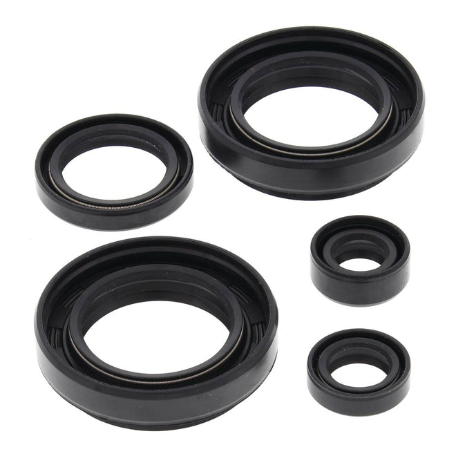 Oil Seal Kit 822234