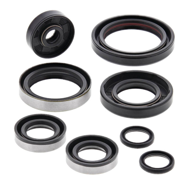 Oil Seal Kit 822264