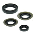 Oil Seal Kit 822273