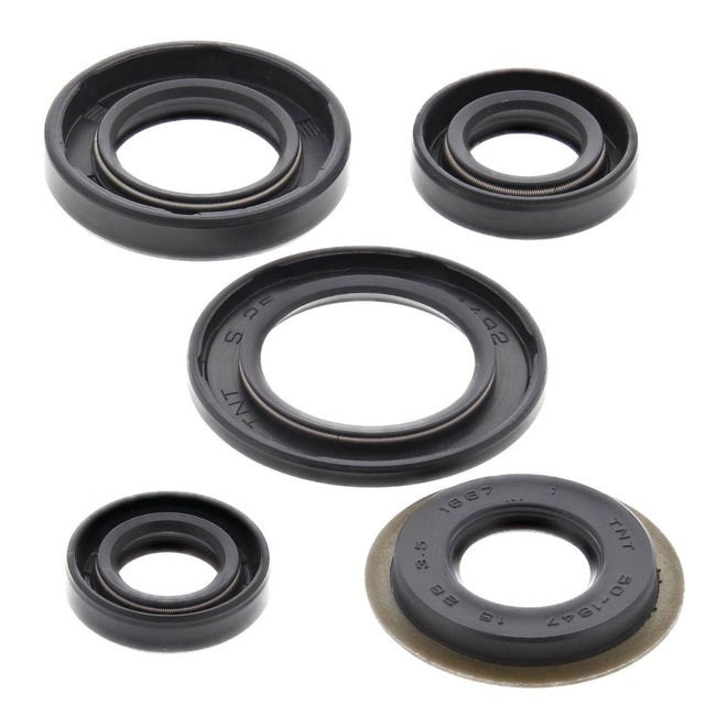 Oil Seal Kit 822308