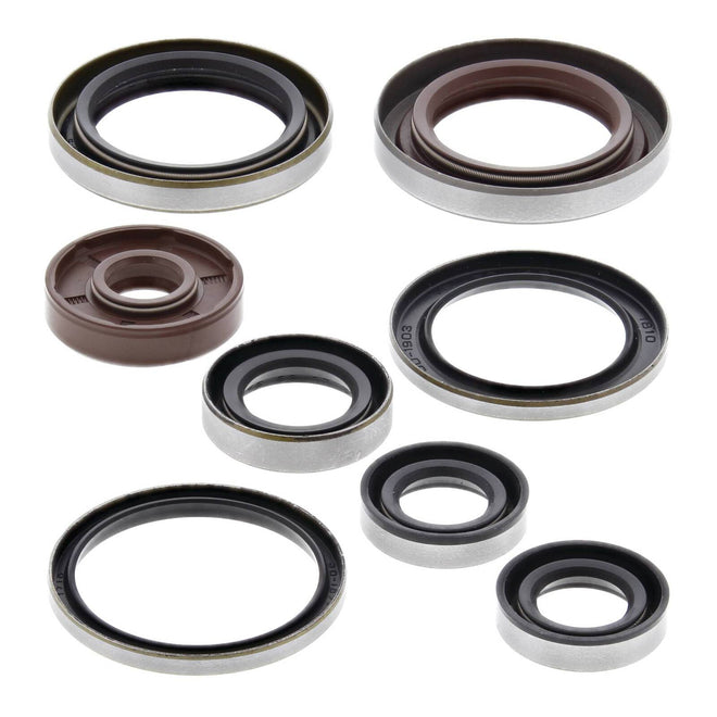 Oil Seal Kit 822320