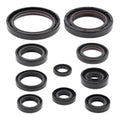 Oil Seal Kit 822332