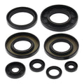 Oil Seal Kit 822349