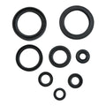 Oil Seal Kit 822378
