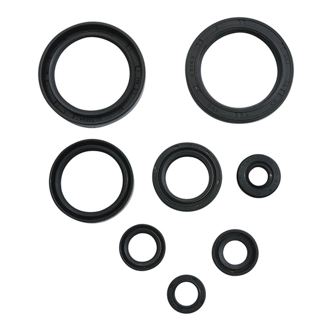Oil Seal Kit 822378