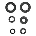 Oil Seal Kit 822391