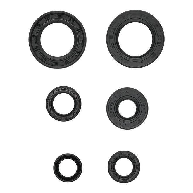 Oil Seal Kit 822391