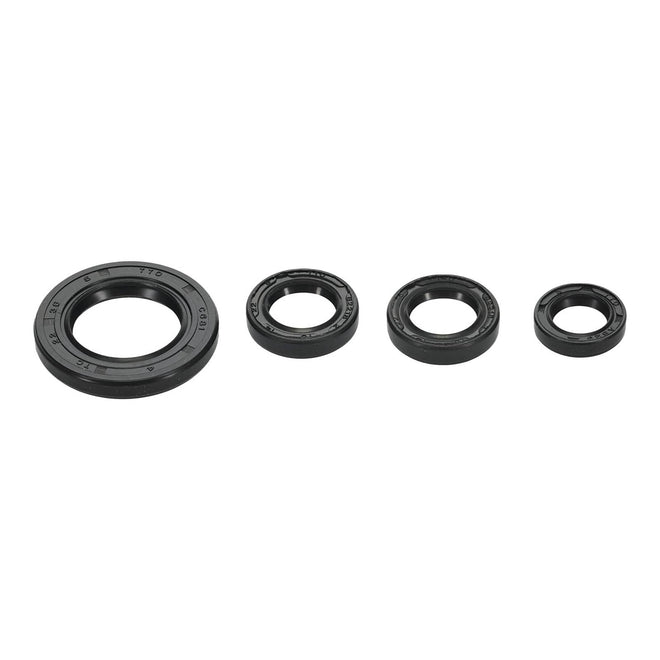 Oil Seal Kit 822395