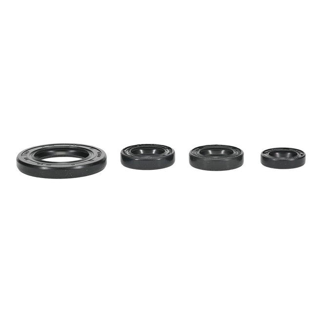 Oil Seal Kit 822395