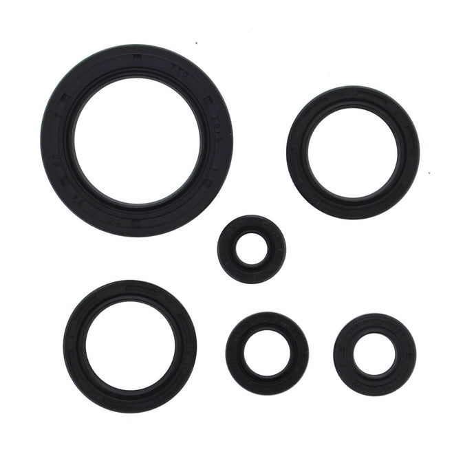 Oil Seal Kit 822978