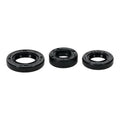 Oil Seal Kit 822999
