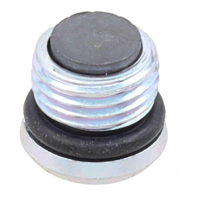 Whites Magnetic Drain Plug M10 x 6.9 - P1.0