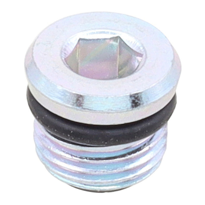 Whites Magnetic Drain Plug M10 x 6.9 - P1.0