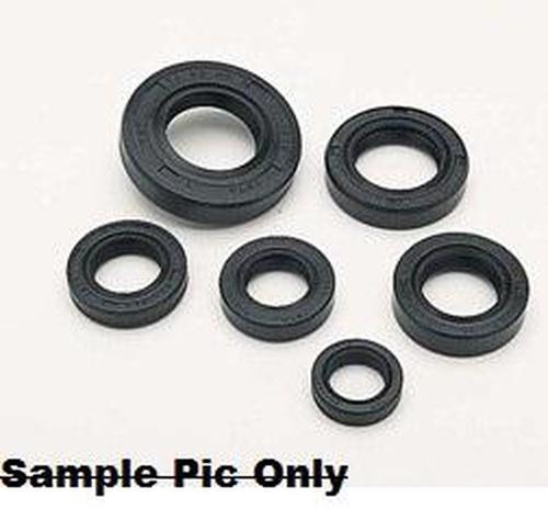 Engine Oil Seal Set Moose